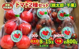 【ふるさと納税】予約受付 トマト ２種類 セット 桃太郎 千果 山本農園 3月末より発送 野菜 甘い 新鮮 とまと 糖度 10度以上 ミニトマト 