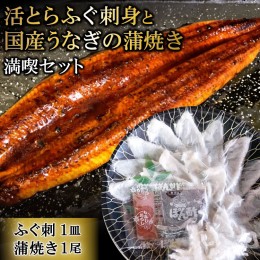 【ふるさと納税】AF048活とらふぐ刺身と国産うなぎの蒲焼き満喫セット（ふぐ刺1皿・蒲焼き1尾）