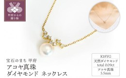 【ふるさと納税】K18YG　アコヤ真珠　ダイヤモンド　ネックレス　N76　K05050-H