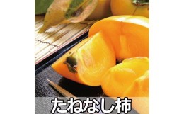 【ふるさと納税】【 県認定エコファーマー】採れたてタネなし脱渋甘柿（刀根早生）Ｌサイズ7.5kg【art001】