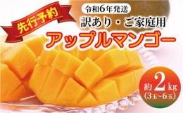 【ふるさと納税】【訳あり・ご家庭用】アップルマンゴー（約2kg）＜2024年発送＞