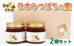 【ふるさと納税】日本みつばち の 蜜 2個 セット 非加熱 宇和島農産 人気 無添加 国産はちみつ 国産蜂蜜 日本蜜蜂 ニホンミツバチ 純粋は