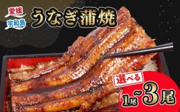 【ふるさと納税】うなぎ蒲焼 170 ~ 180g 1尾 河野鮮魚店 高級 鰻 うなぎ 養殖鰻 養殖うなぎ 本格 鰻蒲焼 頭付き 蒲焼 タレ付き タレ 蜂蜜