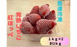 【ふるさと納税】鮮度そのまま!!急速冷凍完熟いちご(紅ほっぺ)1kg×２個セット　ふぁいんファーム [?5346-0443]