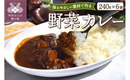 【ふるさと納税】野菜カレー６食セット