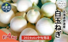 【ふるさと納税】[?5525-0949]【2024年6月中旬発送】白玉ねぎ 4kg 北海道 伊達産 タマネギ 玉葱 サラダ