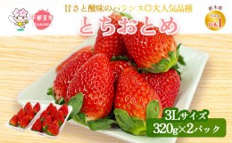 【ふるさと納税】【先行予約】とちおとめ320g×2パック 3Lサイズ | いちご 苺 イチゴ フルーツ 果物 国産 平積み 甘い 糖度 旬 新鮮 フル