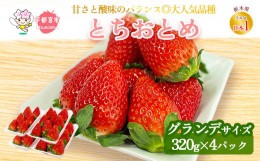 【ふるさと納税】【先行予約】とちおとめ320g×4パック 約1.2kg グランデサイズ  | いちご 苺 イチゴ フルーツ 果物 国産 平積み 甘い 糖