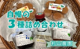 【ふるさと納税】杉山農園 C 自慢の３種詰め合わせ【 梅干し 国産 塩だけ 酸っぱい ジャム 無添加 フルーツ 果物 梅肉エキス 自家製 詰め