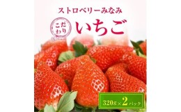 【ふるさと納税】ストロベリーみなみ こだわり　『いちご』　320g×2パック【1052500】