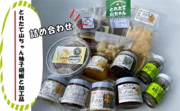 【ふるさと納税】とれたて山ちゃん柚子胡椒と加工品【 柚子胡椒 味噌 自家栽培 自家製造 詰め合わせ 神奈川県 山北町 】