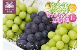 【ふるさと納税】【山梨県甲府市産】特秀品シャインマスカット(2房)と旬のプレミアム黒葡萄(1房)の詰め合わせ