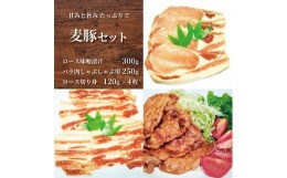 【ふるさと納税】甘み・旨みたっぷり！千葉県産美味しい麦豚セット◇ 豚肉 ロース バラ しゃぶしゃぶ 味噌漬け とんかつ ソテー 鍋 炒め