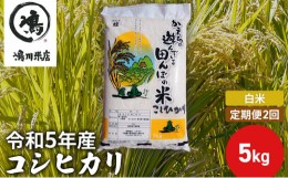 【ふるさと納税】【定期2ヶ月】新米　コシヒカリ　白米　5kg　令和5年産 [?5346-0654]