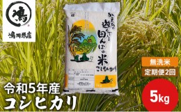 【ふるさと納税】【定期2ヶ月】新米 コシヒカリ 乾式無洗米 5kg 令和5年産 [?5346-0655]