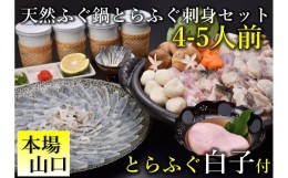 【ふるさと納税】(1379)とらふぐ白子付き天然ふぐ鍋・とらふぐ刺身セット4-5人前