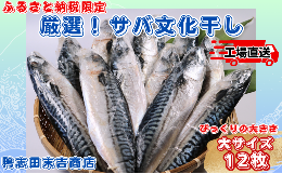 【ふるさと納税】【ふるさと納税限定】サバ文化干し 大 サイズ １２枚 ！ 工場直送 サバ さば 鯖 さば文化 サバ文化 さば文化干し サバ文