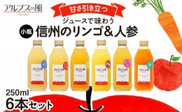 【ふるさと納税】ジュースで味わう信州のリンゴ＆人参 甘さ引き立つ小瓶6本 [?5675-1127]