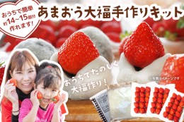 【ふるさと納税】あまおう大福 手作りキット 大福 和菓子 キット セット 【2025年1月〜4月にかけて順次出荷予定】餡子 あん お菓子 手作