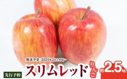 【ふるさと納税】《先行予約》スリムレッドりんご 約2.5kg【2025年2月上旬頃〜発送予定】【大江町産・山形りんご・りんご専科 清野哲生】