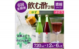 【ふるさと納税】＜毎月定期便＞飲む酢のイメージを変える!ドリンクビネガー2種《濃縮タイプ》720ml×2本全6回【4012321】