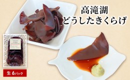 【ふるさと納税】高滝湖どうしたきくらげ　生6パック　防空壕きくらげシステム導入