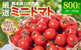 【ふるさと納税】厳選ミニトマト 800g