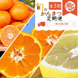 【ふるさと納税】G60-T42_【定期便 全3回】紀州和歌山産旬の柑橘セット（みかん・ポンカン・レモン）