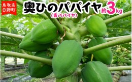 【ふるさと納税】奥ひのパパイヤ（青パパイヤ）3kg