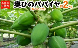 【ふるさと納税】奥ひのパパイヤ（青パパイヤ）2kg