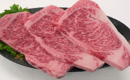 【ふるさと納税】おおいた和牛サーロインステーキ 600g（200g×3枚） 牛肉 お肉 ＜154-010_6＞