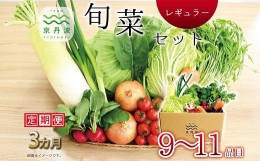 【ふるさと納税】【3回定期便】 京丹波 旬菜セット レギュラー 9〜11品目 《3カ月定期便》 定期便 野菜 詰め合わせ 京都 丹波 京丹波町産