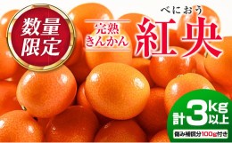 【ふるさと納税】数量限定 完熟 きんかん 紅央 計3kg以上 傷み補償分100g付き フルーツ 果物 柑橘 金柑 みかん 人気 おすすめ お土産 ギ