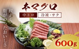 【ふるさと納税】本マグロ 中トロ 600g ふるさと納税 マグロ トロ 中トロ 魚 刺身 冷凍 天然 千葉県 茂原市 MBT002