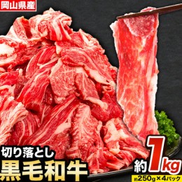 【ふるさと納税】牛肉 肉 黒毛和牛 切り落とし 訳あり 大容量 小分け 1kg 1パック 250g 《60日以内に出荷予定(土日祝除く)》岡山県産 岡