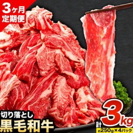 【ふるさと納税】牛肉 肉 黒毛和牛 切り落とし 訳あり 大容量 小分け【定期便】 1kg 1パック 250g 3回 《お申込月の翌月より発送》岡山県