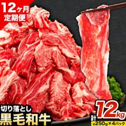 【ふるさと納税】牛肉 肉 黒毛和牛 切り落とし 訳あり 大容量 小分け【定期便】 1kg 1パック 250g 12回 《お申込月の翌月より発送》岡山