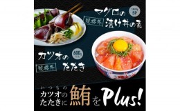 【ふるさと納税】規格外カツオたたき 約600g＋マグロ漬け丼の素 約80g×5パック