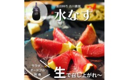 【ふるさと納税】＜産地直送＞古川農園　「水なす」そのまま食べられる生野菜でお届け!2個入×10袋【1484515】