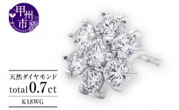 【ふるさと納税】ピアス 天然 ダイヤモンド 0.7ct パヴェ スタッド フラワー ダブルロックキャッチ SIクラス【K18WG】P-149（KRP）M66-14