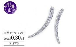 【ふるさと納税】ピアス 天然 ダイヤモンド 0.30ct スタッド SIクラス ホーン ツノ シェイプ ムーン ダブルロックキャッチ【K18WG】P-151