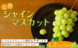 【ふるさと納税】シャインマスカット1.2kg（2房）　【11218-0725】