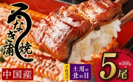 【ふるさと納税】【土用の丑の日】秘伝のたれ仕込み うなぎ蒲焼 合計800g（約160g×5尾）鰻 ウナギ 中国産 温めるだけ 簡単 レンジ調理 