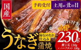 【ふるさと納税】【土用の丑の日】国産うなぎ お試し 230g（鰻1尾 130g+ ハーフカット 100g）訳あり お試し ウナギ 無頭 炭火焼き 備長炭