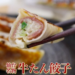 【ふるさと納税】(05303)牛たん餃子