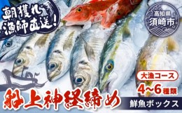 【ふるさと納税】【 船上 神経締め 鮮魚 ボックス 】朝獲れ 直送 大漁コース (2024年10月出荷) 冷蔵 魚種お任せ 水揚げ 海鮮 魚介 産地直