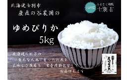 【ふるさと納税】【北海道士別市】（産直の谷農園）産地直送米「ゆめぴりか」（5？）