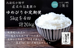 【ふるさと納税】【北海道士別市】※予約受付※（産直の谷農園）※定期便※　産地直送米「ゆめぴりか」（5？×4ヵ月）