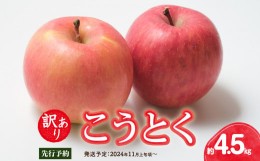 【ふるさと納税】《先行予約》訳ありこうとく約4.5kg【2024年11月上旬頃〜発送予定】【大江町産・山形りんご・りんご専科 清野哲生】 【0