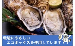 【ふるさと納税】★期間限定★手のひらサイズで開けやすい！天然！殻付き岩牡蠣　5個